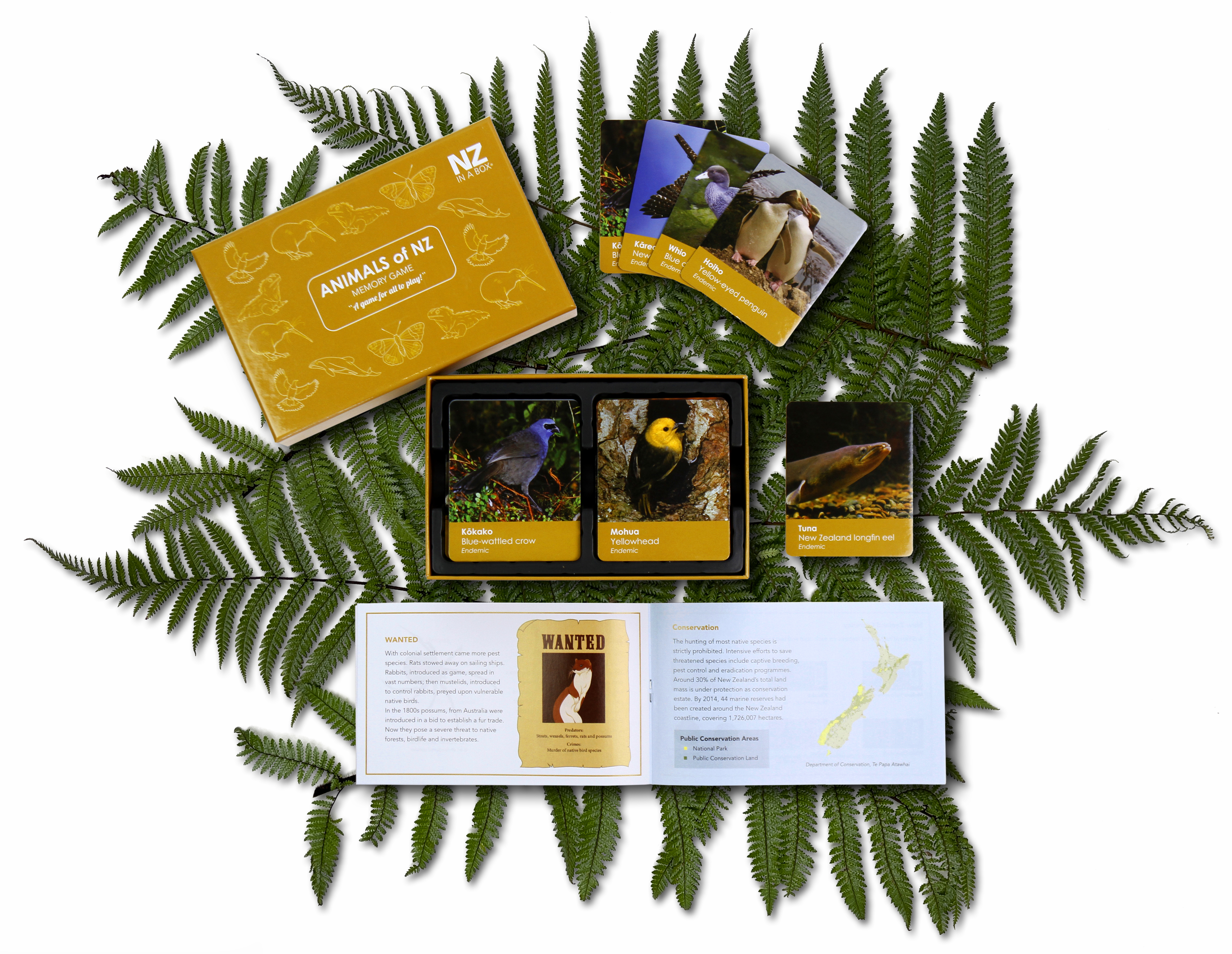 Animals of NZ Memory Game Animals of NZ Memory Game